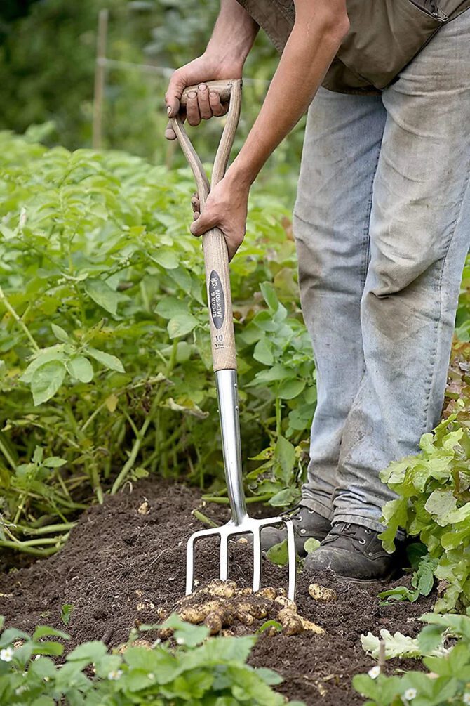 Spear & Jackson 4550DF Traditional Stainless Digging Fork