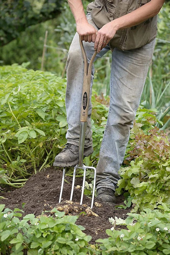 Spear & Jackson 4550DF Traditional Stainless Digging Fork